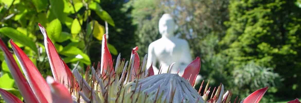 Buddhist Retreat Centre
