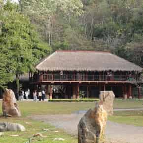 Thai Plum Village