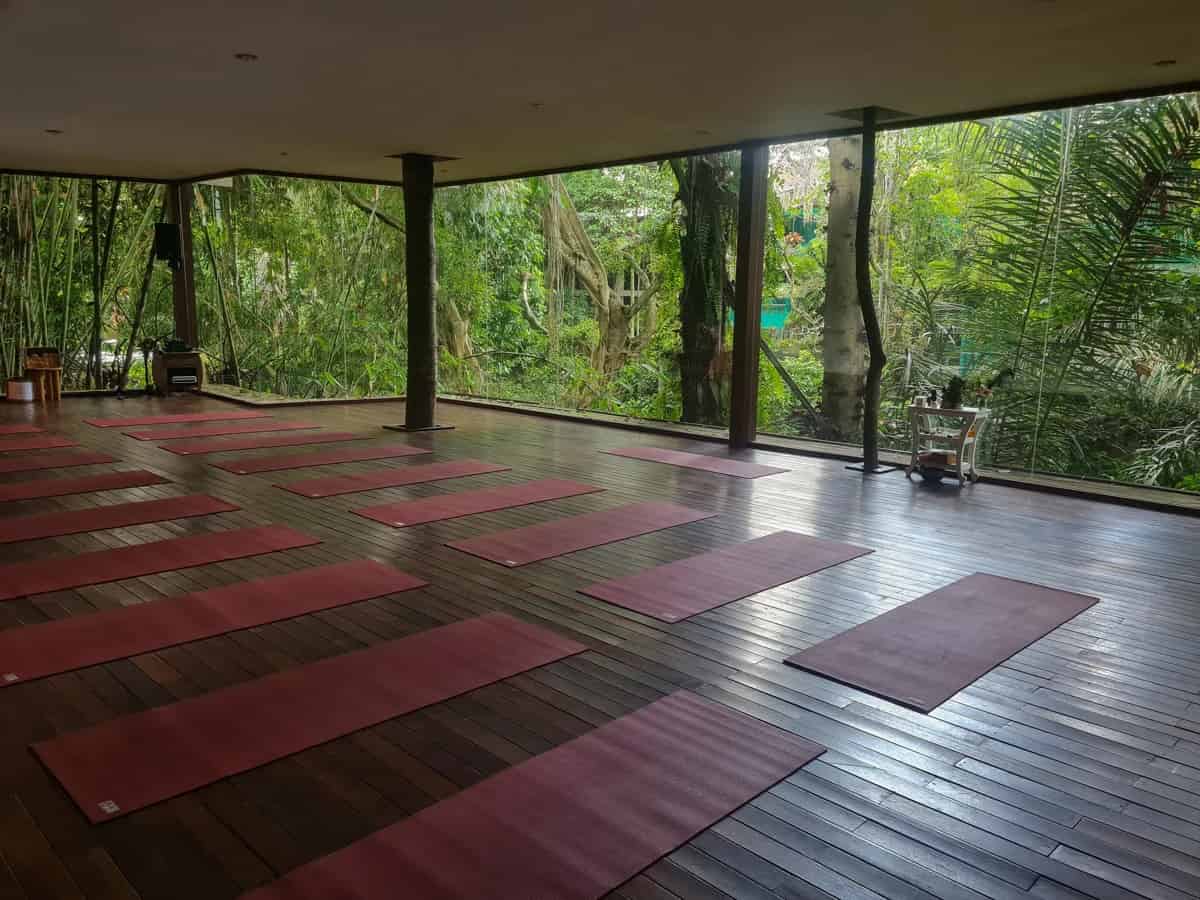 Radiantly Alive Yoga